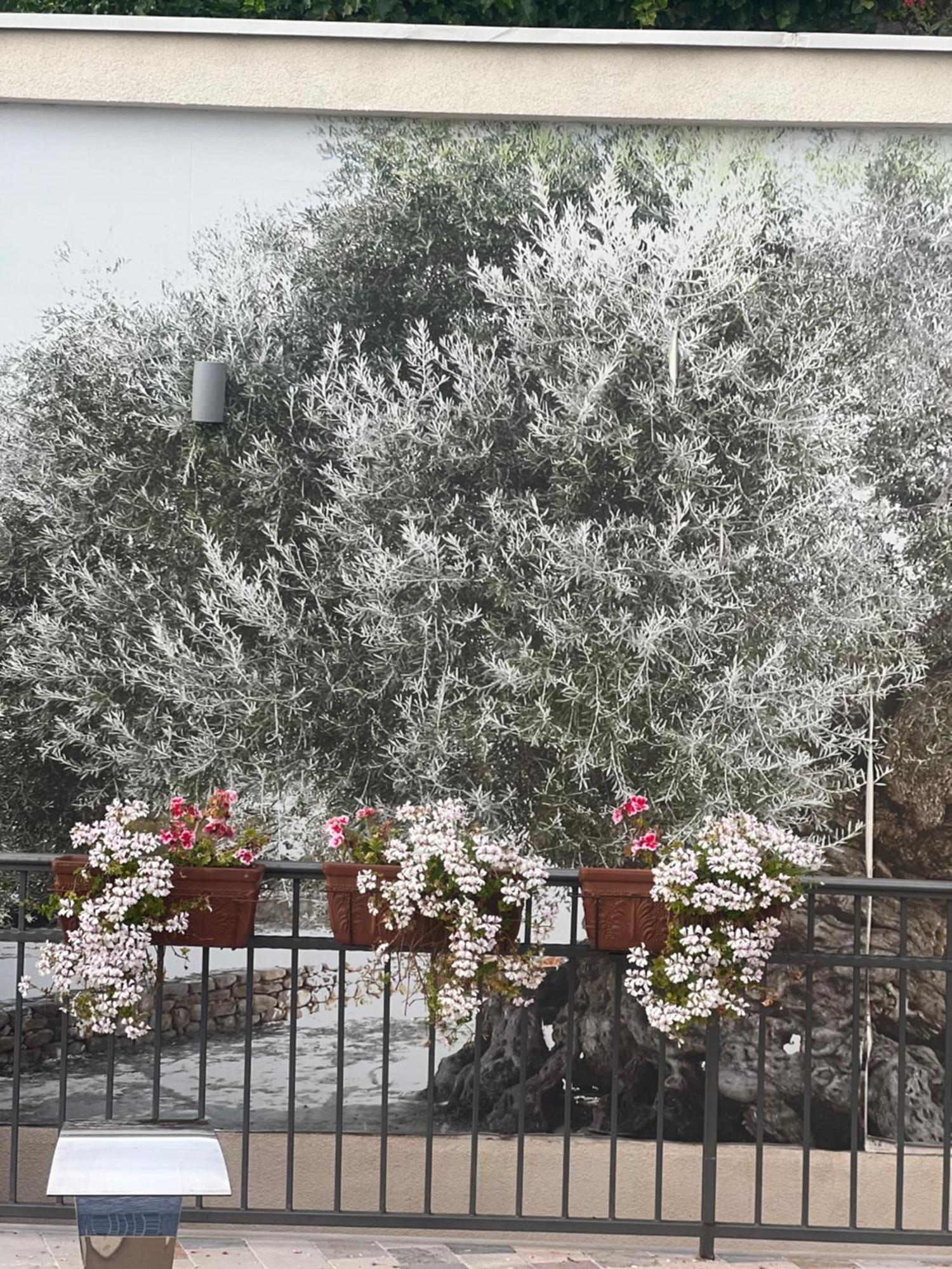 Villa Nikoleta Kotor Luaran gambar